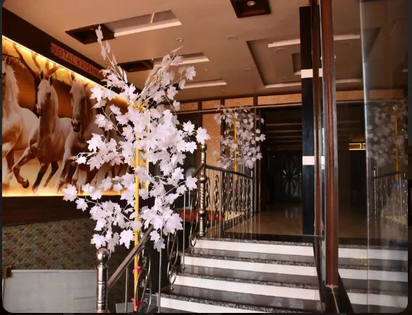 HOTELS KRISHNA INN in Gorakhpur - photo 2
